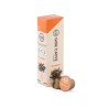 Gise the energy 10 capsule